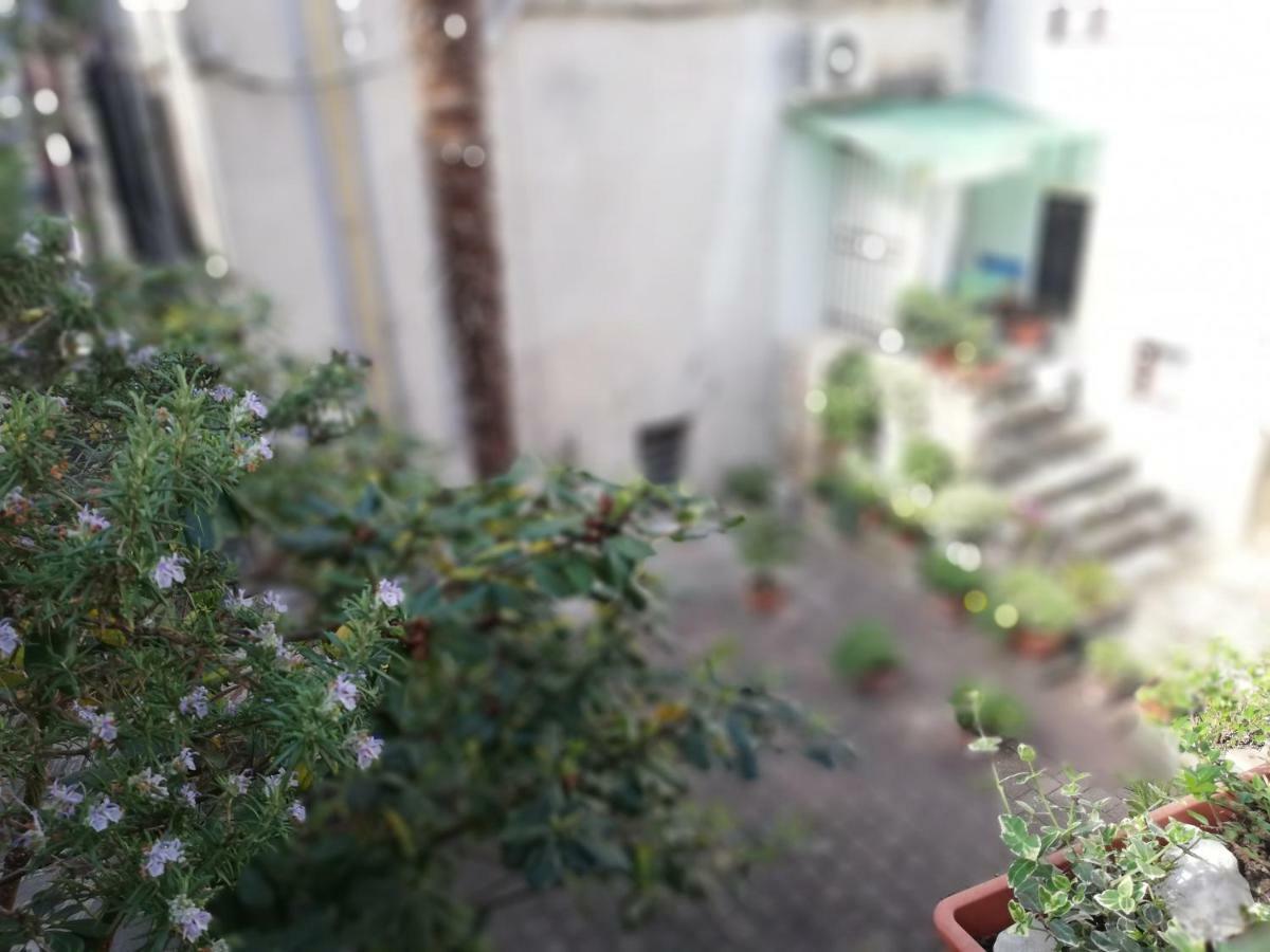 Apartment Centro Storico Piran Ngoại thất bức ảnh