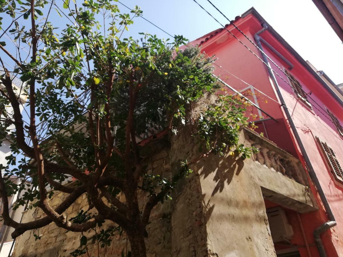 Apartment Centro Storico Piran Ngoại thất bức ảnh